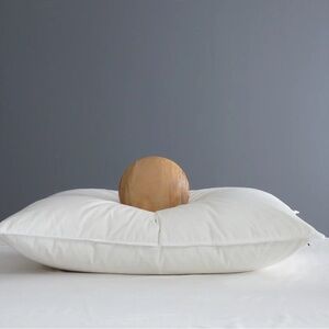 NWOT QUINCE Premium Down Pillow Firm King 4366